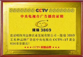 隆瑞3869